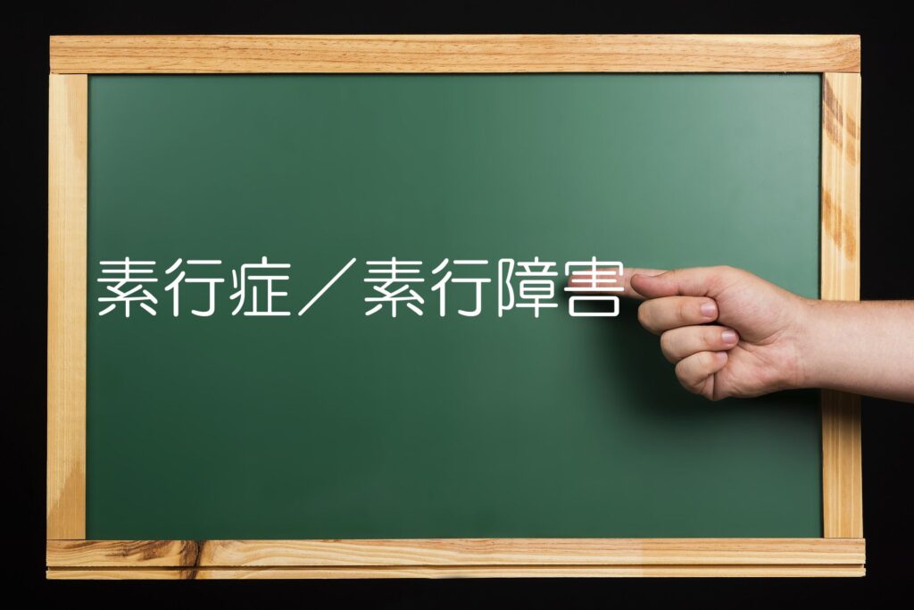 素行症/素行障害 | スクールカウンセラー養成所